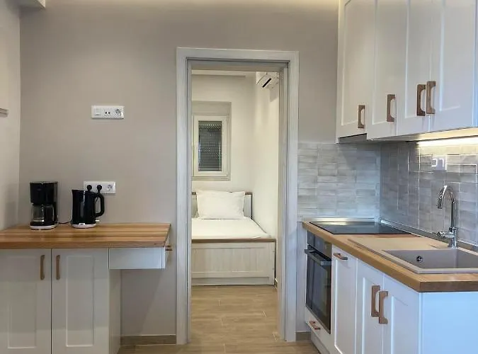 Apartamento Andrea's Luxury In Néa Fókaia
